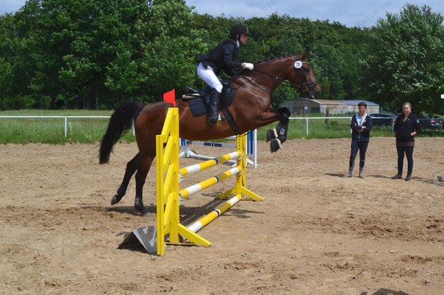 reitertag 2013 114